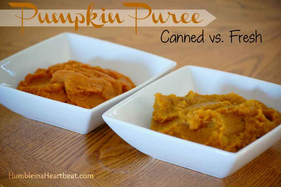 Is it really worth it to make your own pumpkin puree? I set out to find out, and the results were shocking!