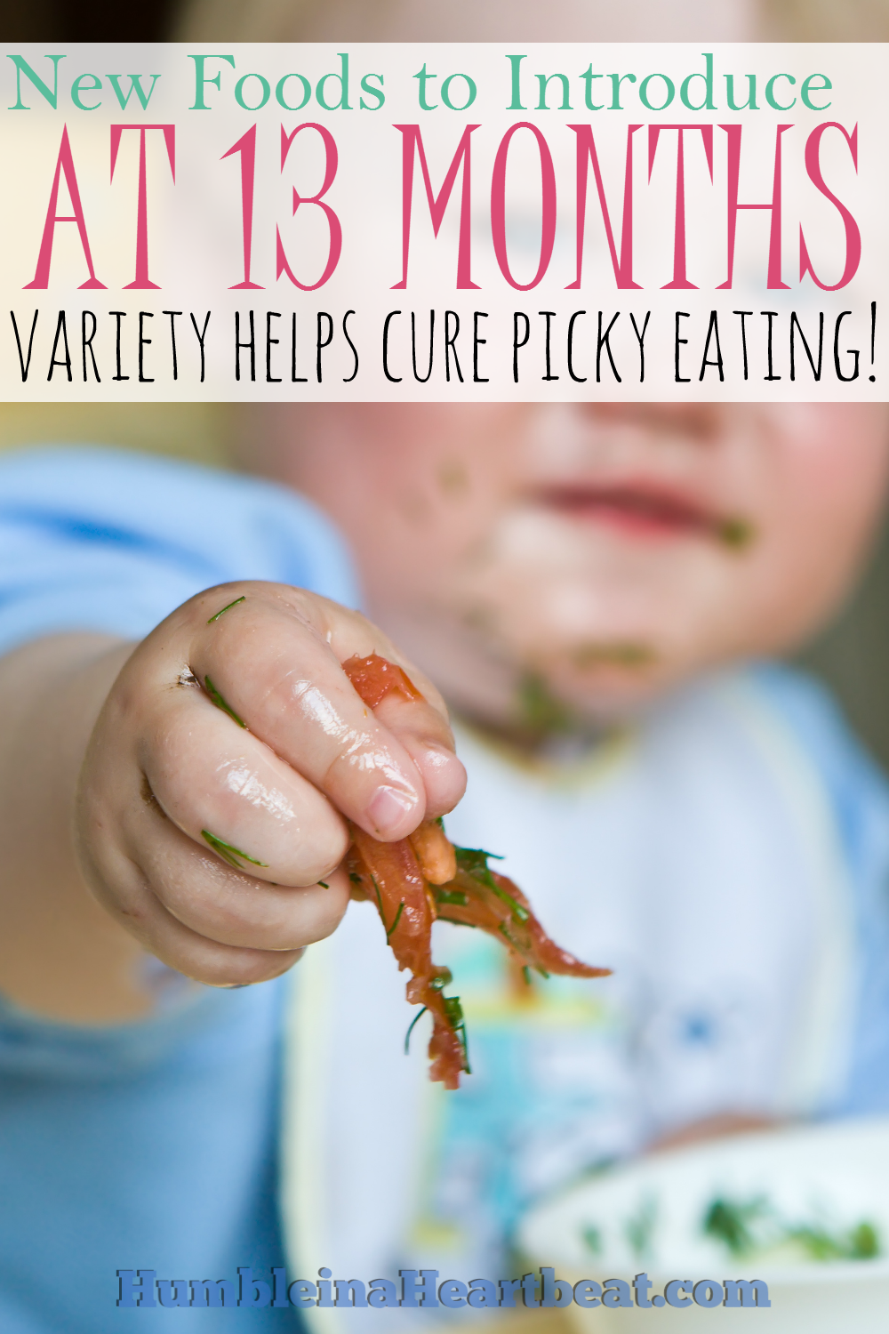 What's your baby eating now that he's one? Are you still offering variety? Here are some healthy foods you can introduce to add some variety to his diet.