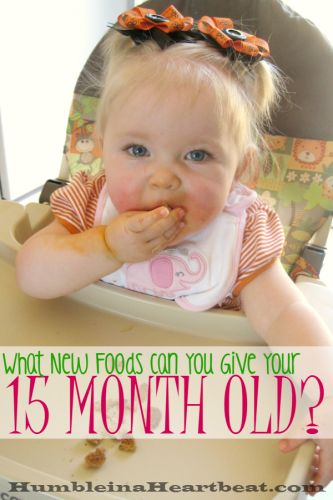 Rotating new foods for your growing toddler is essential for optimal nutrition. Here are the 4 foods I introduced to my 15 month old this month with details about each one.