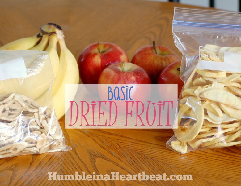 Looking for a healthy on-the-go snack that both you and your child will love? Try making some basic dried fruit!
