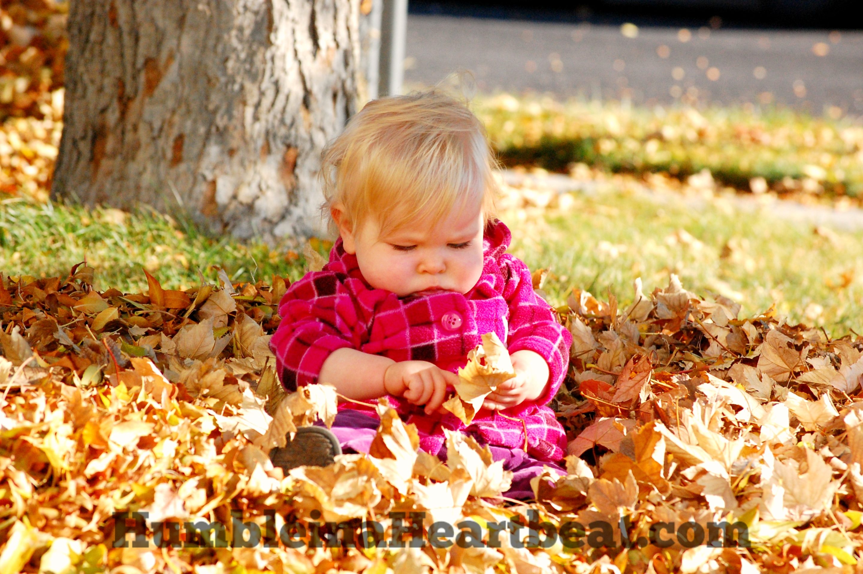 Fall is such a perfect time to take tons of pictures. Here is a list of all the activities your kids might do this fall that you should be ready to capture through your lens.