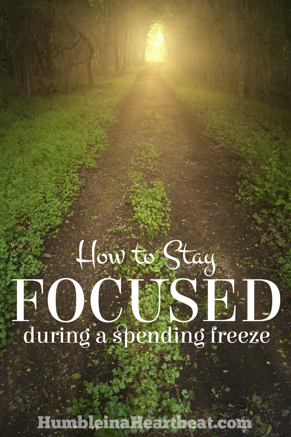 A spending freeze is the perfect time to re-evaluate your wants and needs, but it's not always easy to stay the course. Here's what you should do before you start to stay focused.