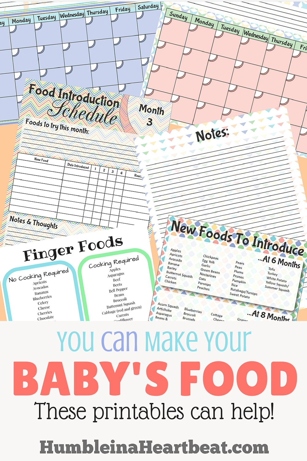 Too busy to make your baby's food at home? These printables can help! It's really not rocket science to feed your baby!