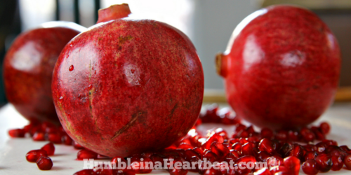Deseeding pomegranates can be tricky if you’ve never learned how. Learn how to do it the right way with this tutorial, and take advantage of these delicious winter fruits before they’re gone!