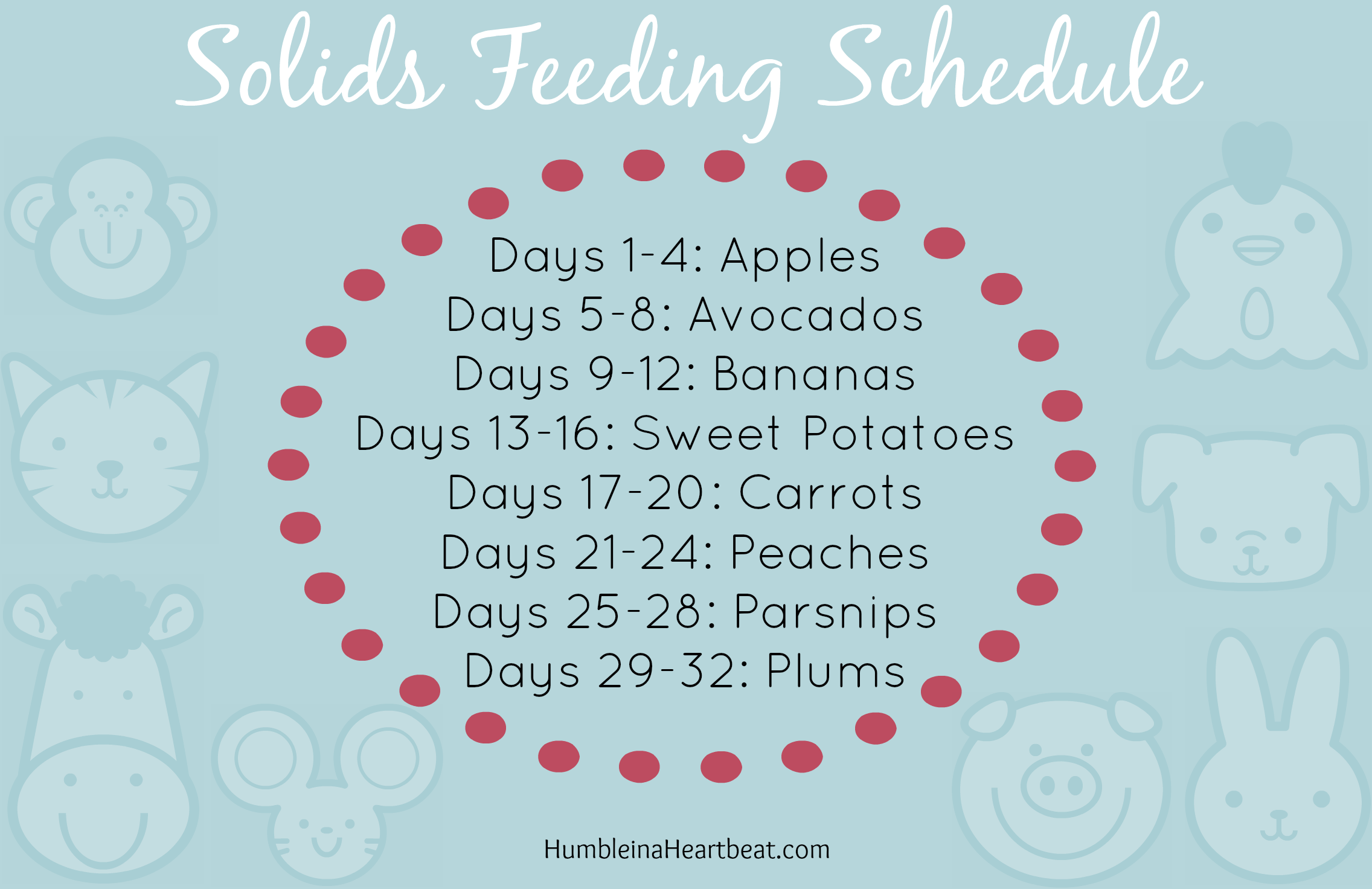 Solids Feeding Schedule Overview | Feeding Our Flamingos