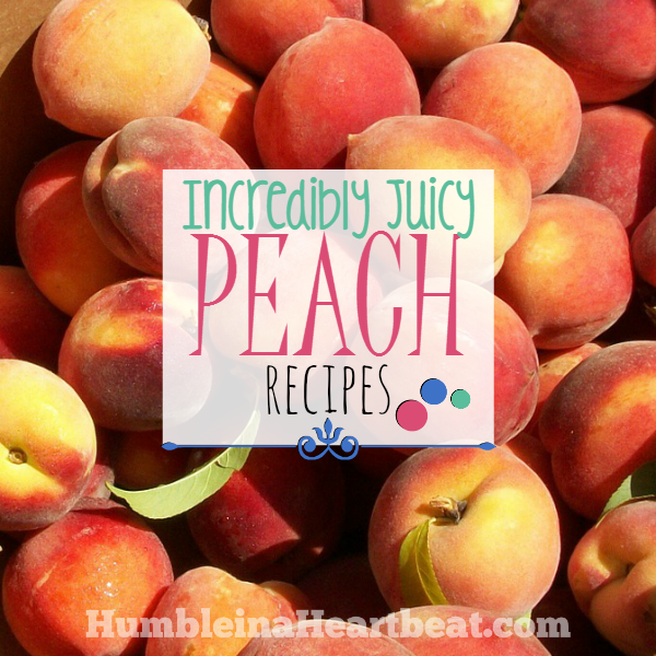 There's something for everyone in this collection of peach recipes! If you find yourself with too many peaches, these ideas will be helpful and delicious!