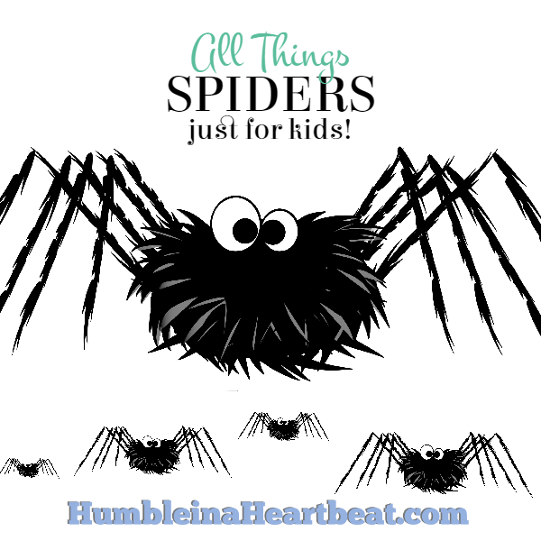 Here you'll find 30+ awesome links to all things spiders! Great for when you want to teach your toddler or preschooler about these 8 legged friends!