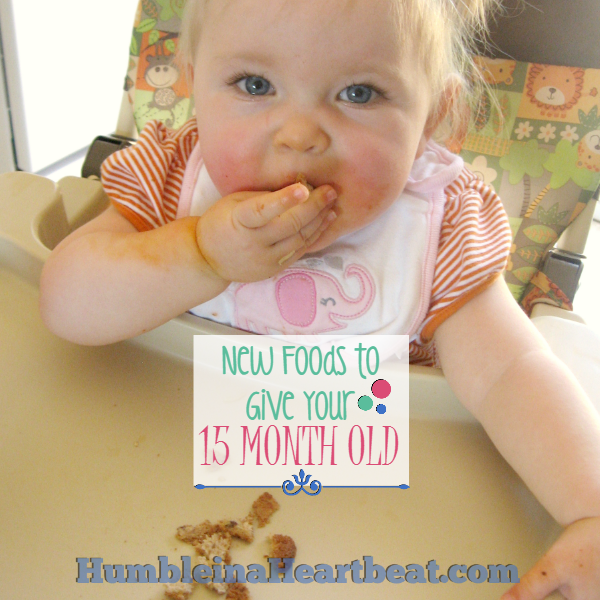 Rotating new and familiar foods for your growing toddler is essential for optimal nutrition. Here are the 4 foods I introduced to my 15 month old this month with details about each one.