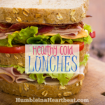A Plan to Make Healthy Cold Lunches for the Hubby