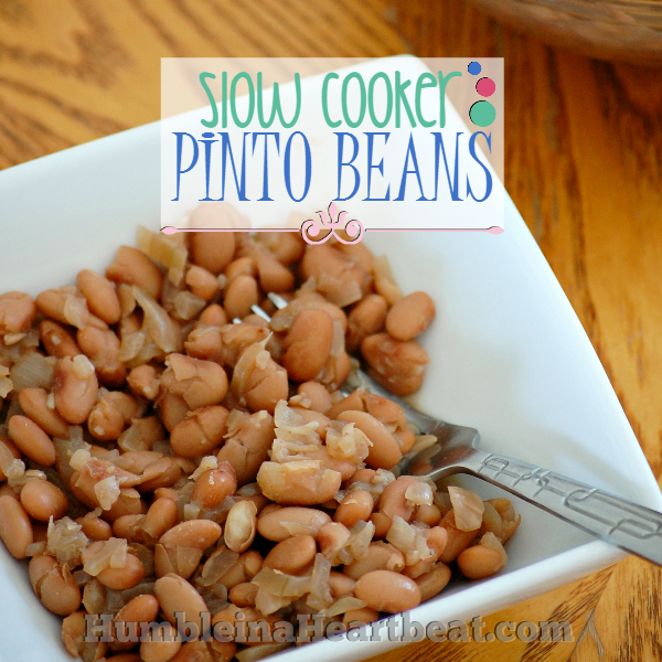 Slow Cooker Pinto Beans