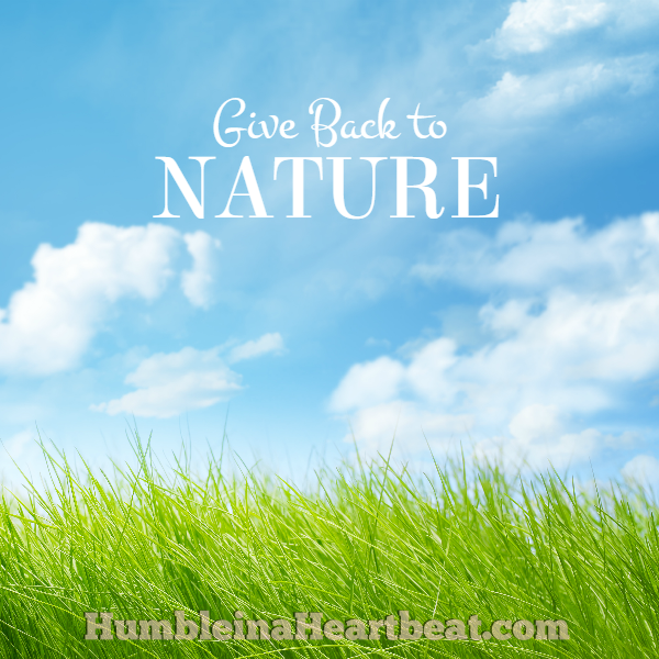 Give back to nature and enjoy it when you are in the trenches of a spending freeze. It will help you forget your own problems and be more grateful for what you already have.