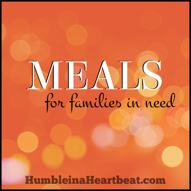 Plumb out of ideas for a meal you can take to a family in need? Look no further! These 10 healthy and tasty meal ideas are just what you are looking for!