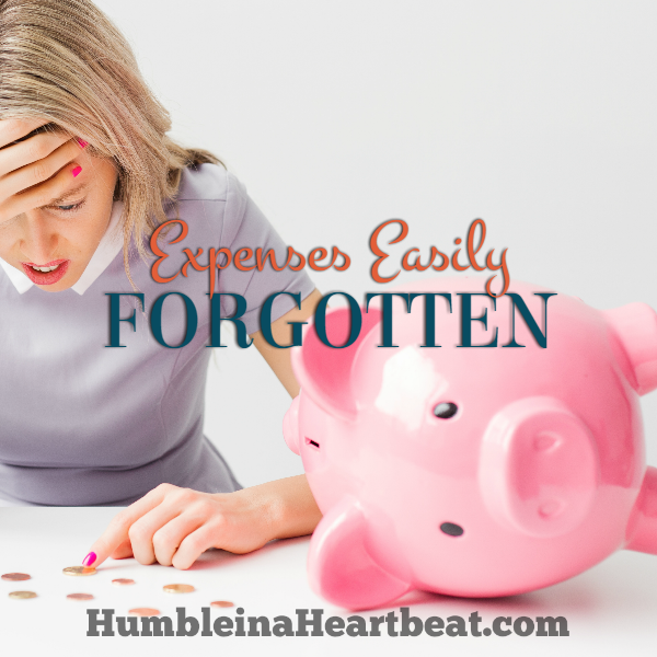 Are you always forgetting these BIG expenses throughout the year?? Plan ahead for irregular expenses by adding them to your monthly budget!