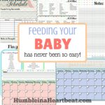 Helpful Printables for Planning Out Your Baby’s Meals