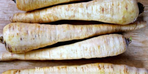 Could your family stand to try some new vegetables? How about parsnips? They are a great veggie to roast in the winter!