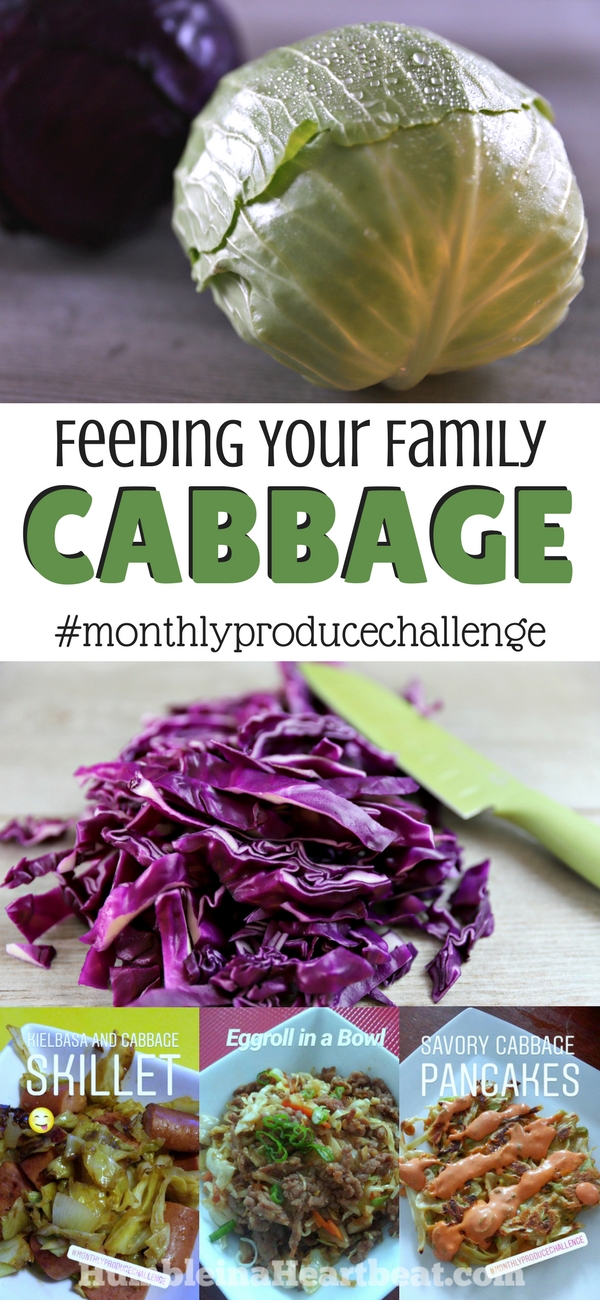 Maybe your family could stand to try some new vegetables, but you’re stuck in a rut. Join this monthly produce challenge for motivation to try one new veggie each month. Most recently we added lots of cabbage to our meals. Check out all the recipes we tried with cabbage!