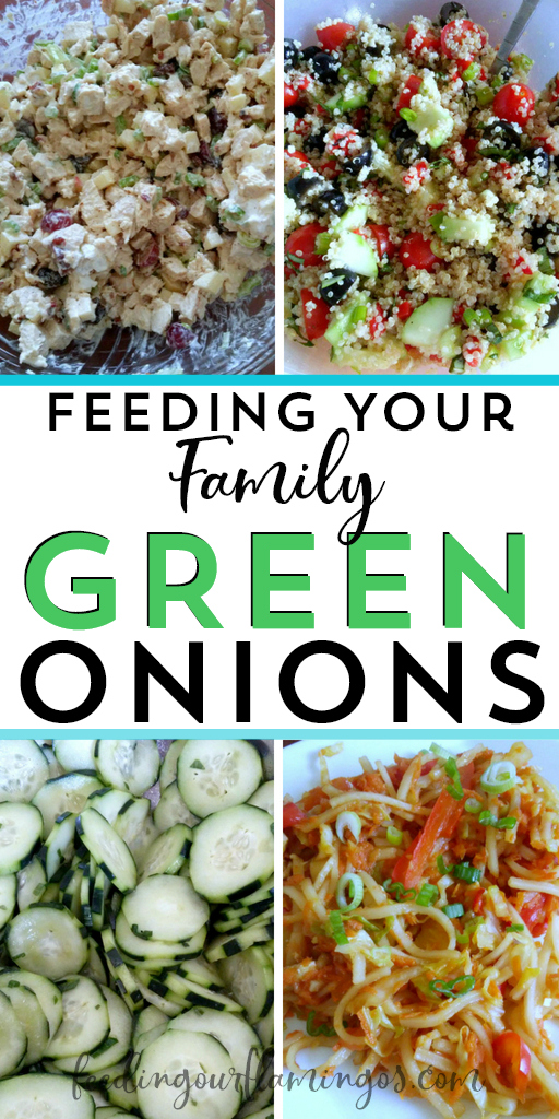 Tired of eating the same old vegetables every single week? Switch it up with this monthly produce challenge and try one new veggie each month. This month we tried green onions 8 different ways! #healthydinnerideas #greenonions #monthlyproducechallenge