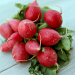 Monthly Produce Challenge Update #7: Radishes