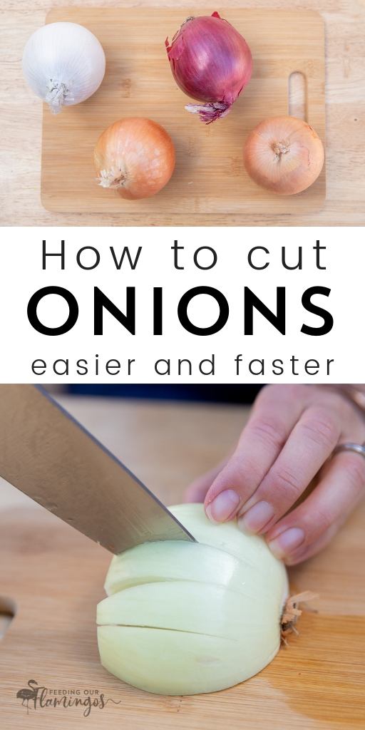If you have very little time to spare and want to cook healthy, homemade meals, it's imperative to prep ingredients quickly! Find out now how to chop onions faster!