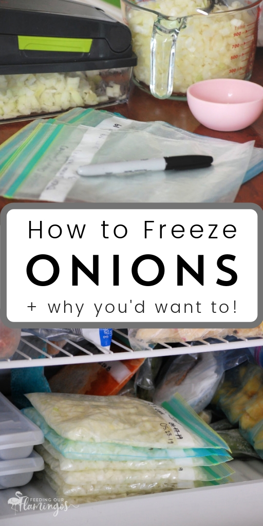 How to Freeze Peppers & Onions – Haphazard Homemaker