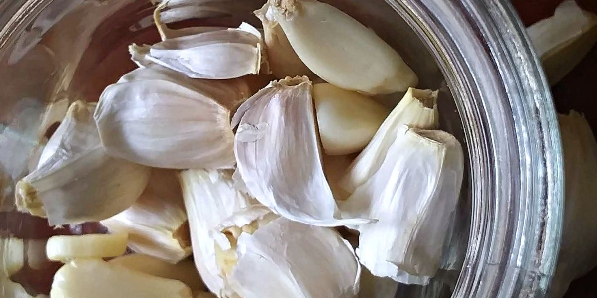 Can you freeze garlic? (Cloves, Peeled, or Minced) - Fueled With Food