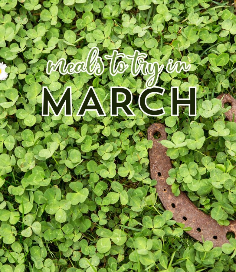 Keep your own list of favorite/must-try recipes for every month of the year. March meal ideas are great for St. Patrick's Day, Easter, and Spring!